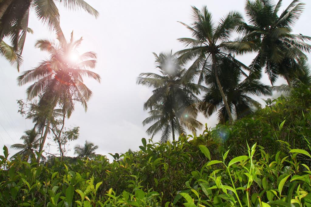 Athulya Villas, Kandy Kadugannawa Εξωτερικό φωτογραφία